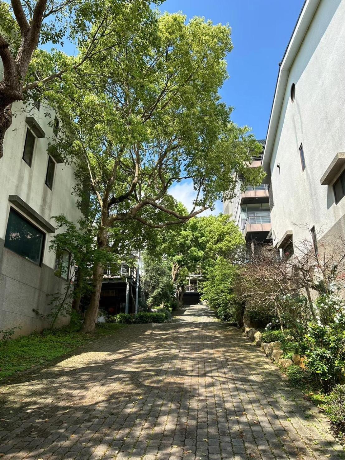 Miaoli Sanyi Travelling Homestay Exterior photo
